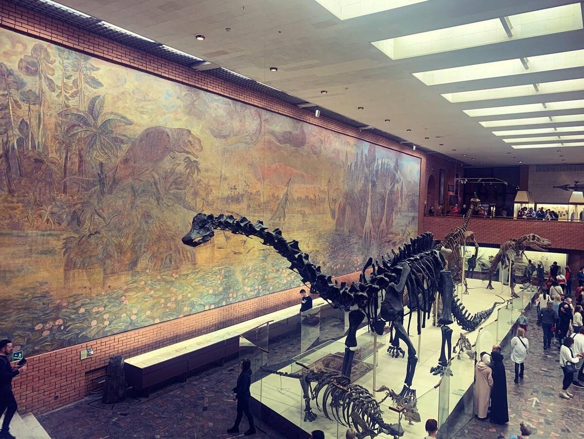 "Фотографии автора. Палеонтологический музей Ю.А.Орлова."