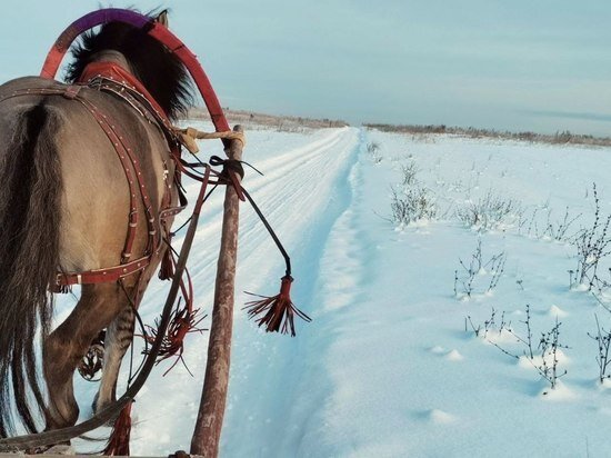     фото: МК в Туле