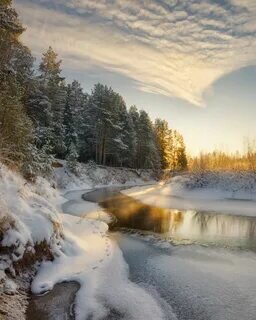 Яндекс.Картинки 