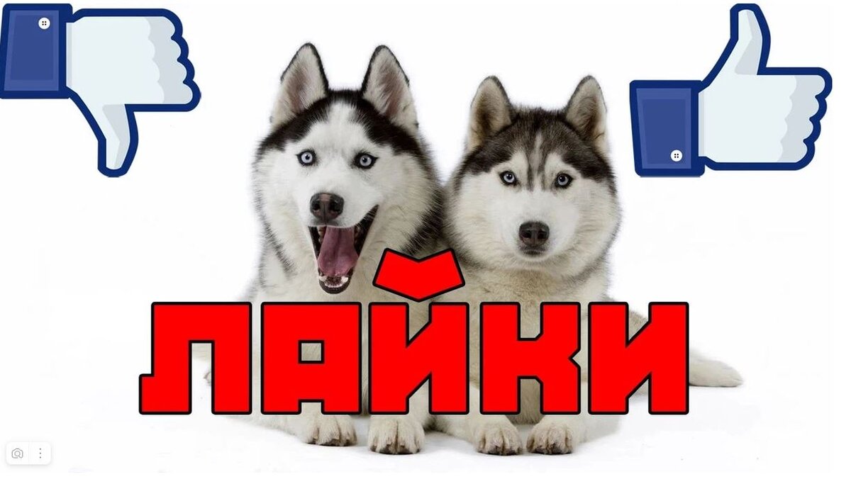 коллаж из тырнета