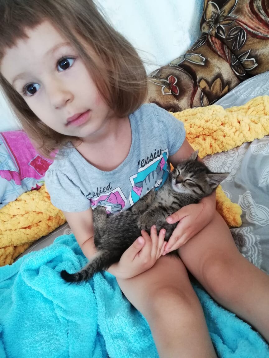 М