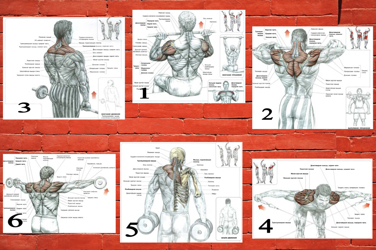 Тренировка плеч в тренажерном зале для мужчин