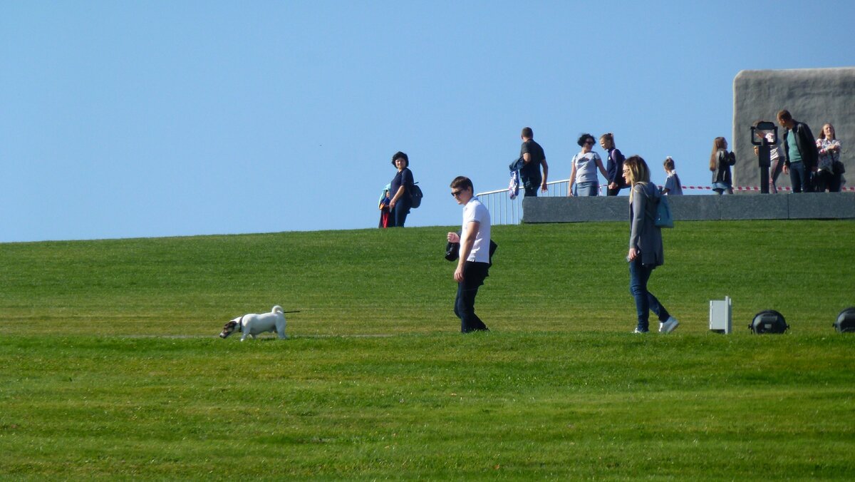 Что там сейчас на 2 2. Что там сейчас на 2 2. Что там сейчас на 2 2. Что там сейчас на 2 2. Что там сейчас на 2 2.