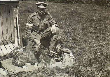 Фото взято из открытых источников