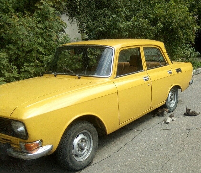 Правда красивый?