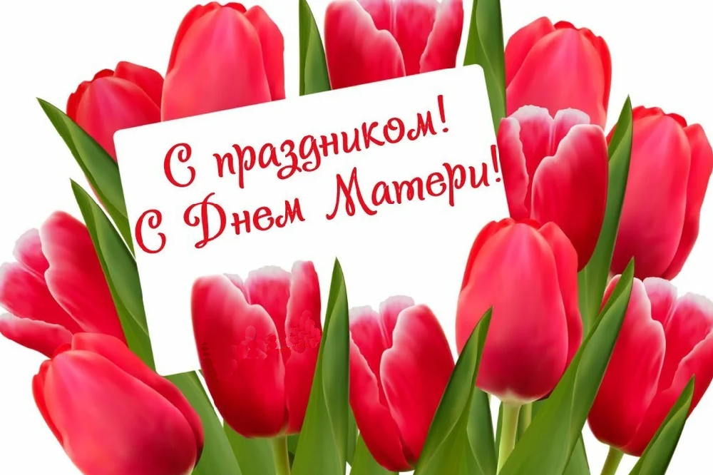 Фото с яндекс картинки 