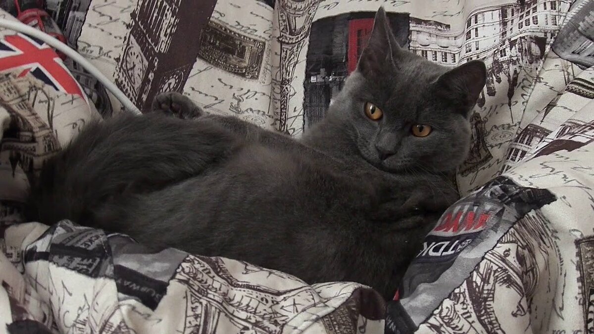 И вы тоже меня любите? Фото с просторов интернета