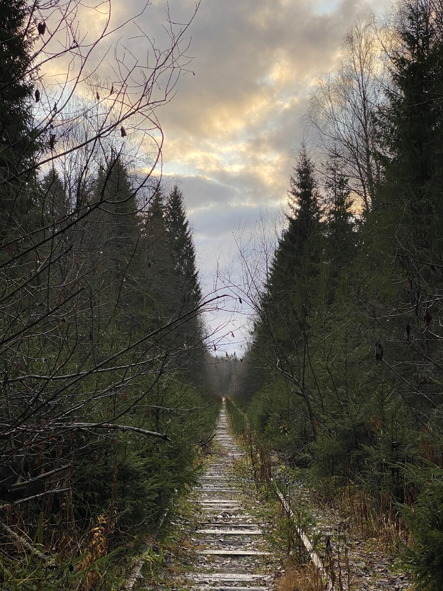 Заброшенная  ж/д