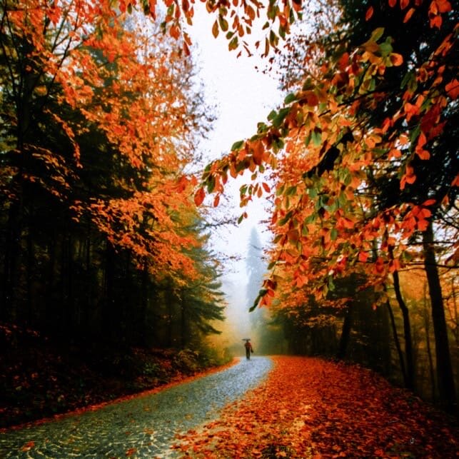 Идти по аллее.