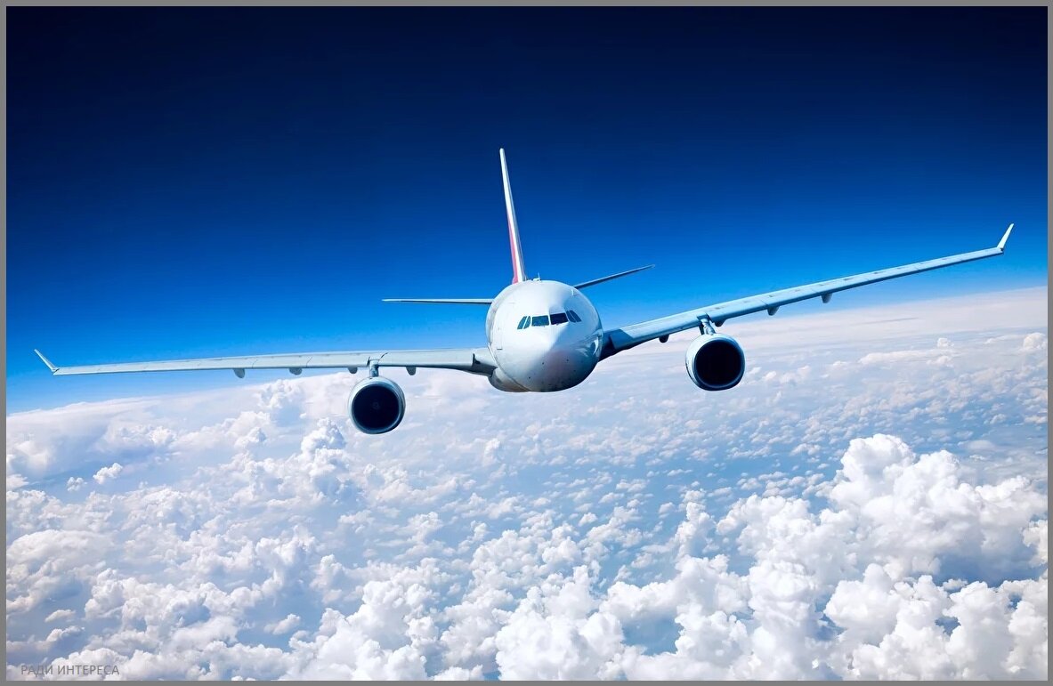 Источник изображения: aristeya.com.ua