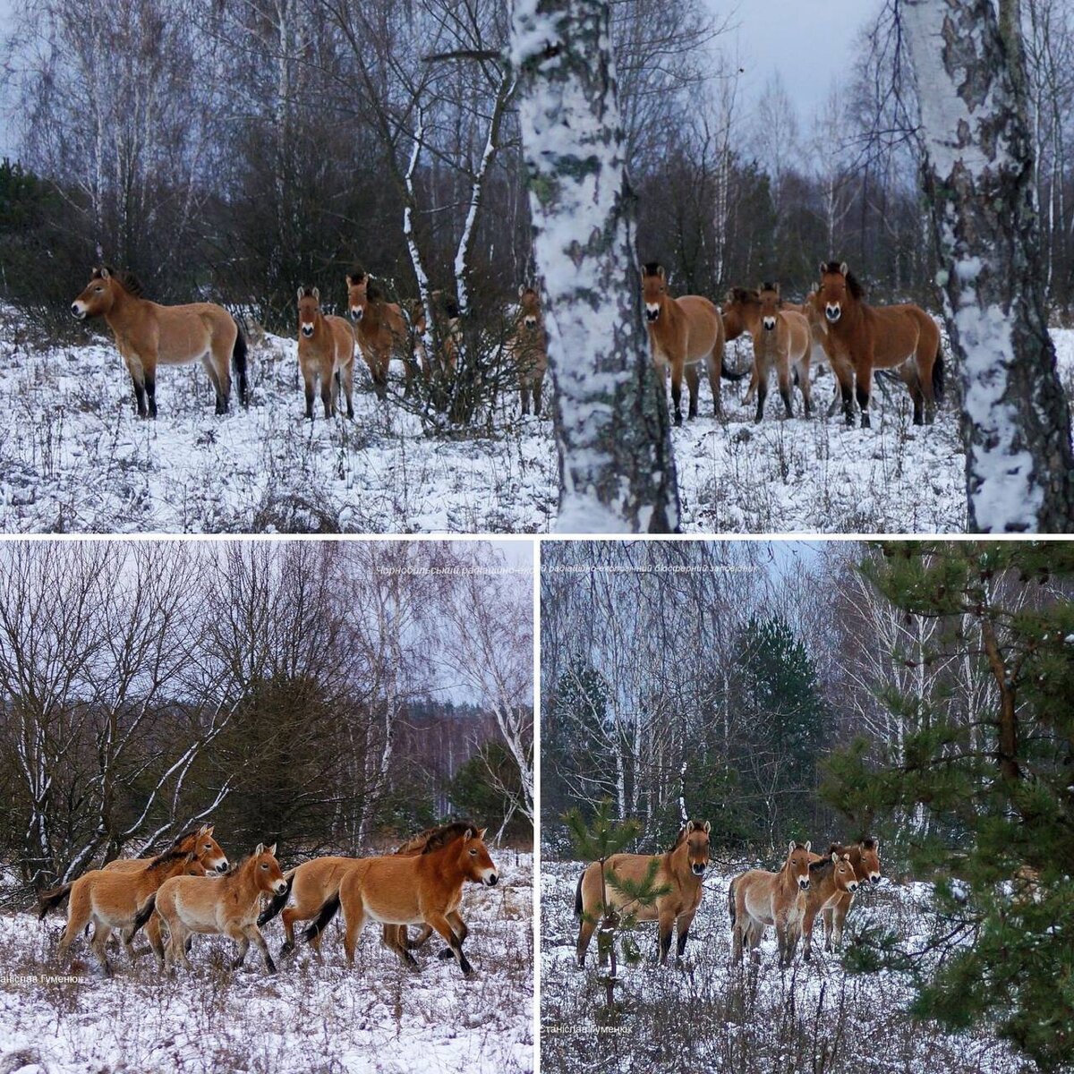 Главное за 13.01.2021