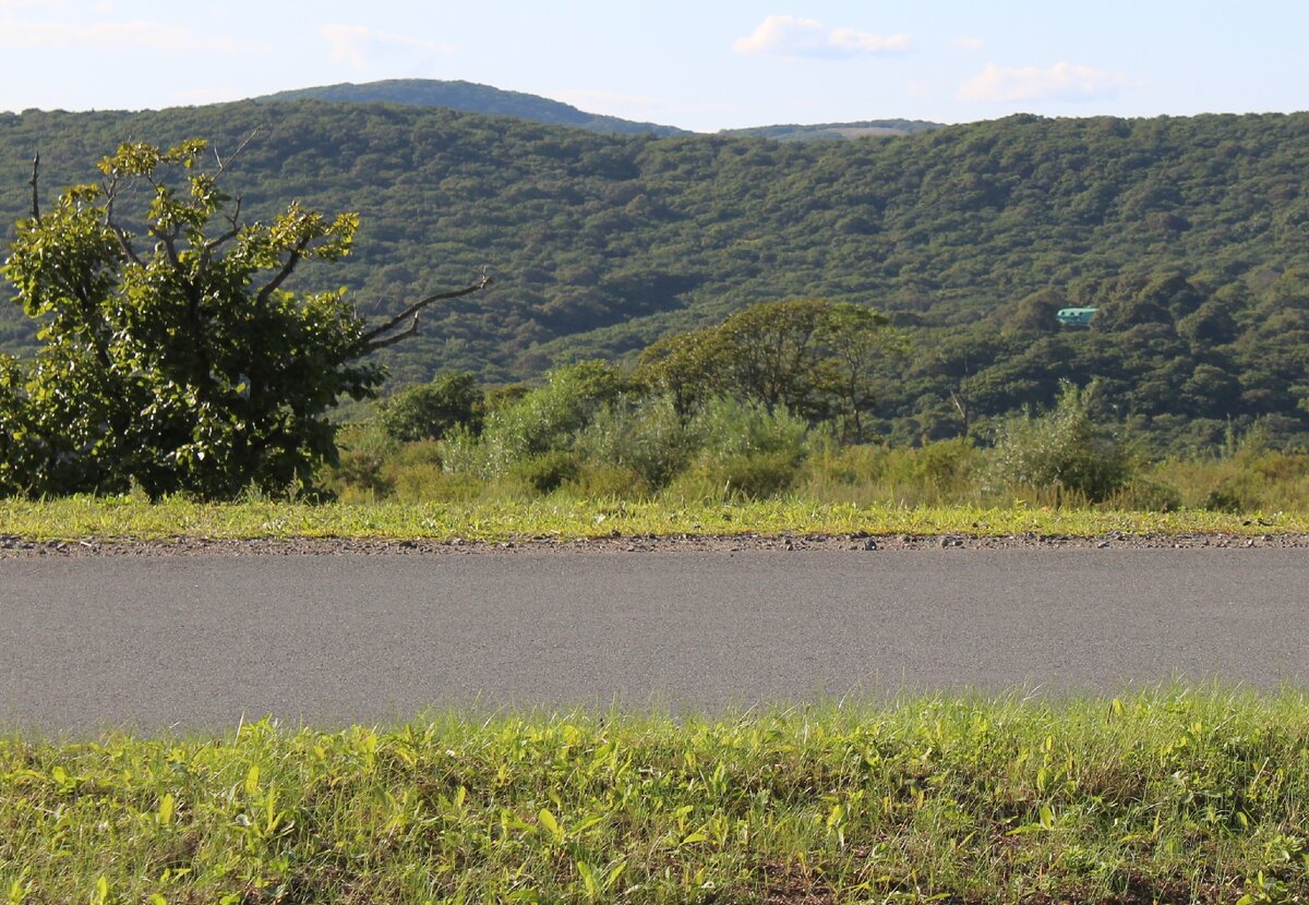 Остров Русский. Светло-зелёное пятнышко справа в тайге - башня №1 Ворошиловской батареи.
