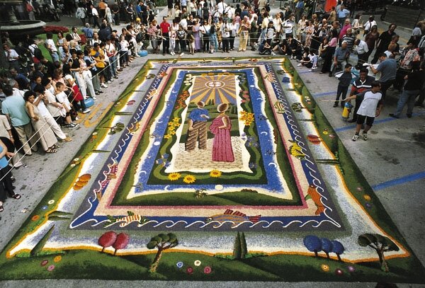 цветочный рисунок 