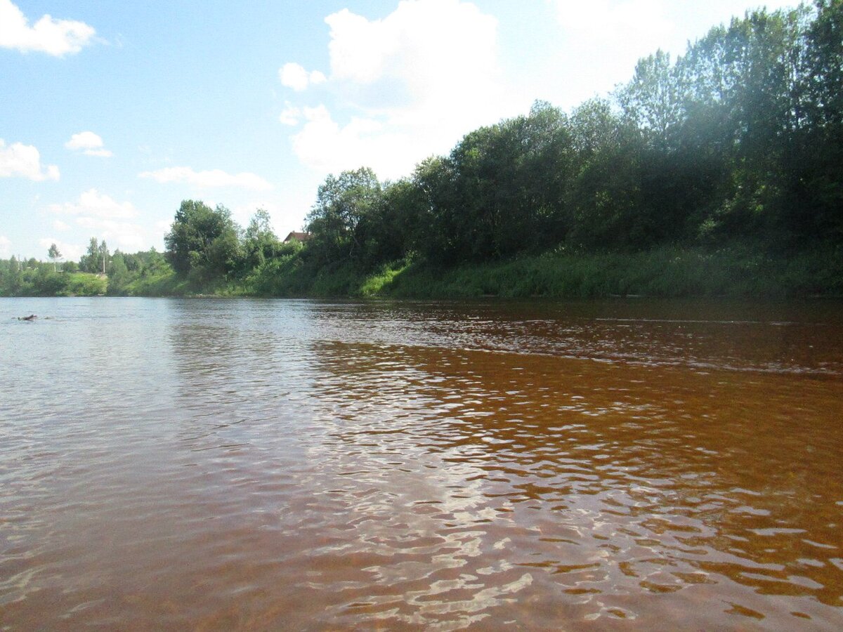 Вода в реке прозрачная, желтый оттенок от песка.