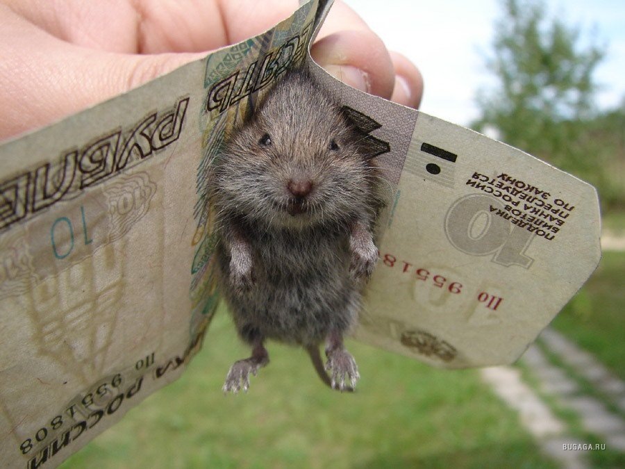 Продолжаем двигаться к своей цели