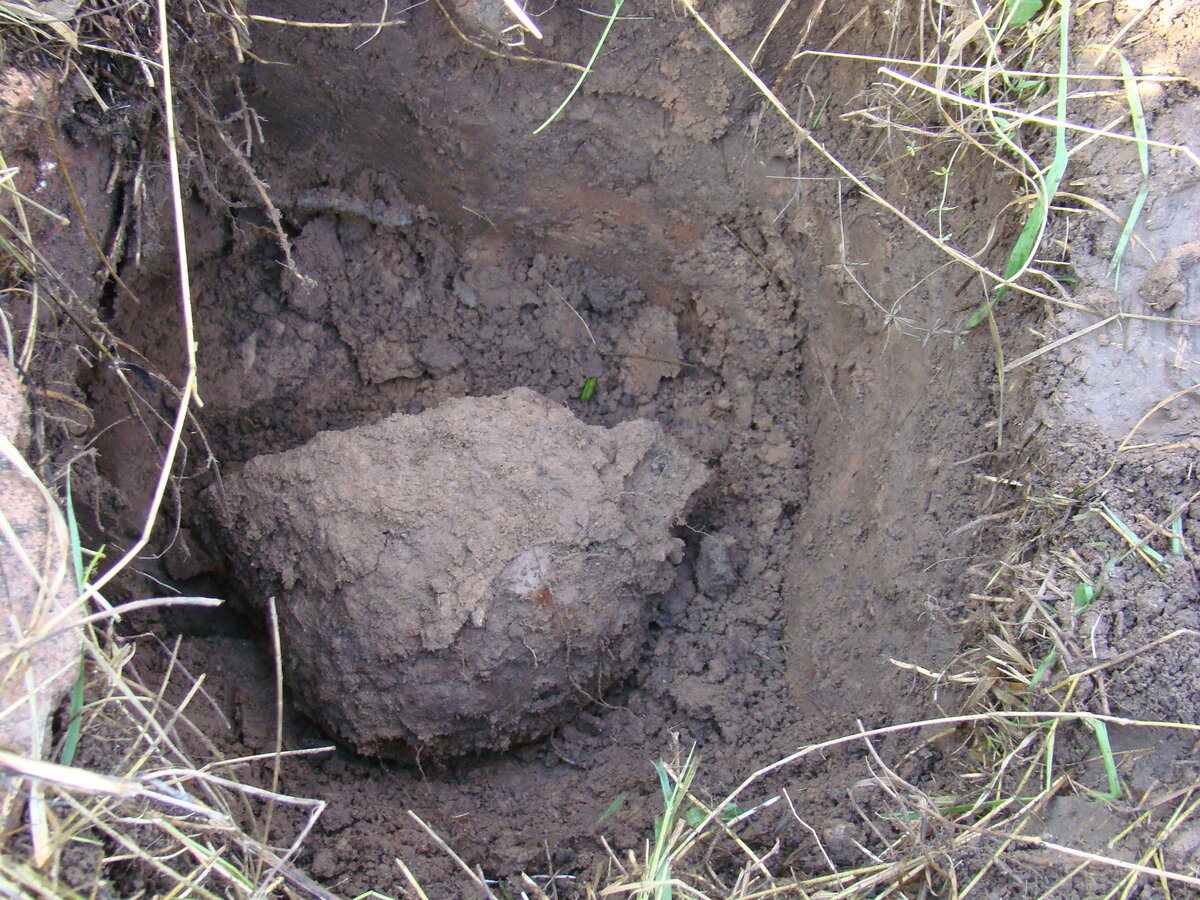 Стальной шлем образца 1935 года (нем. Stahlhelm M35) — пехотная каска, утверждённая в качестве стандартного общевойскового шлема вооружённых сил Третьего рейха. (листай галлерею)