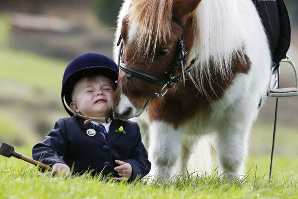 Источник фото сервис Яндекс.Картинки 