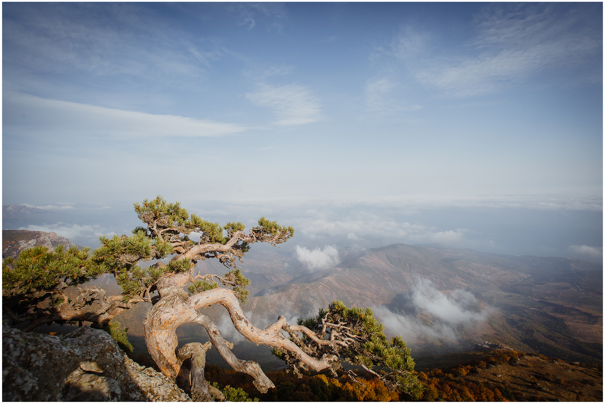 Экибана на Демерджи.