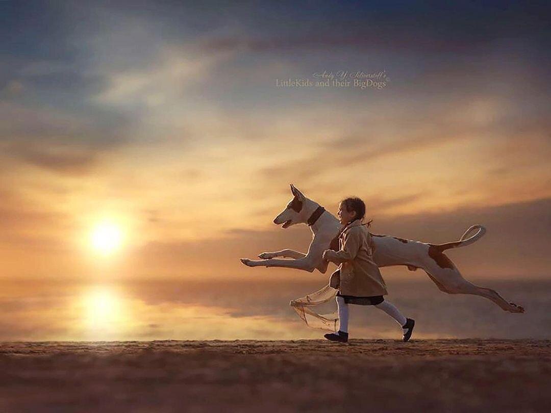 Моя собака Вейс и его подружка Варя на пляже Финского залива