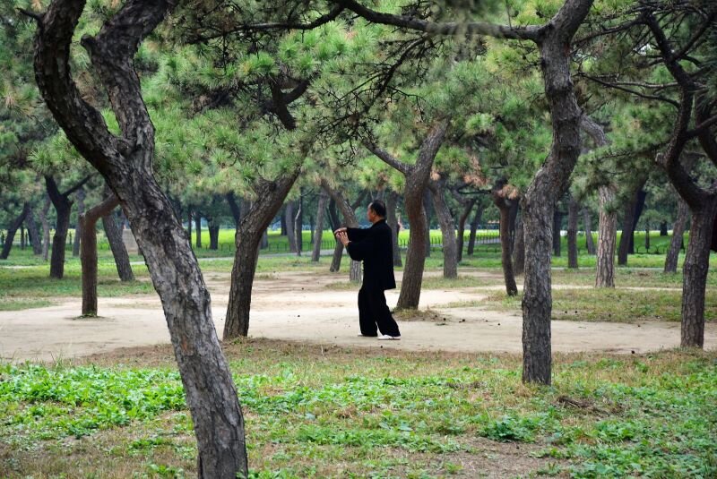 #Китаец практикует Тайцзи.