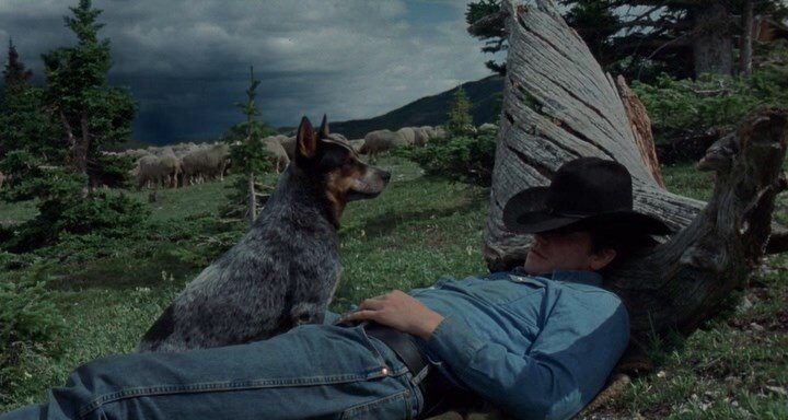 Кадр из фильма "Горбатая гора"