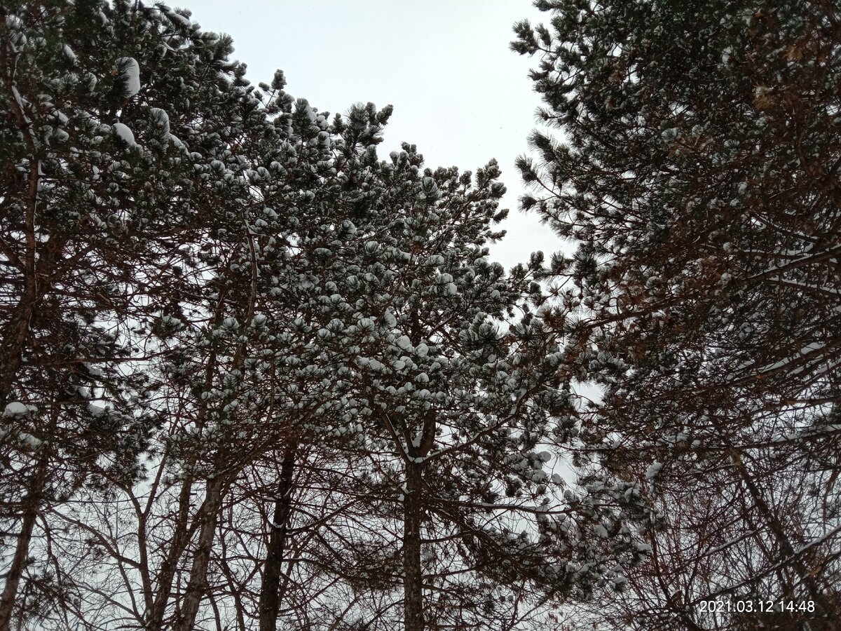 Фото автора канала