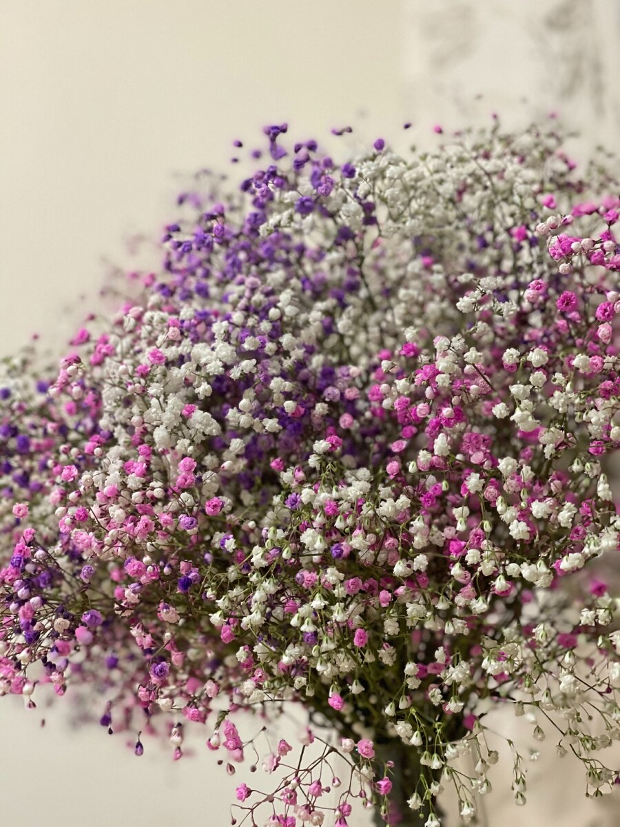 Для настроения! Цветочно-конфетно-букетный длительностью 4 года) 