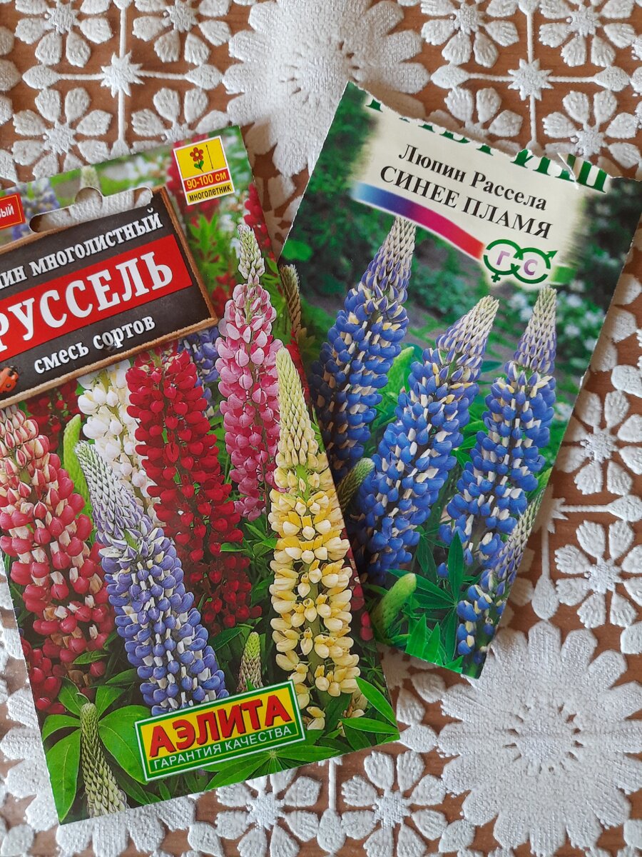 семена