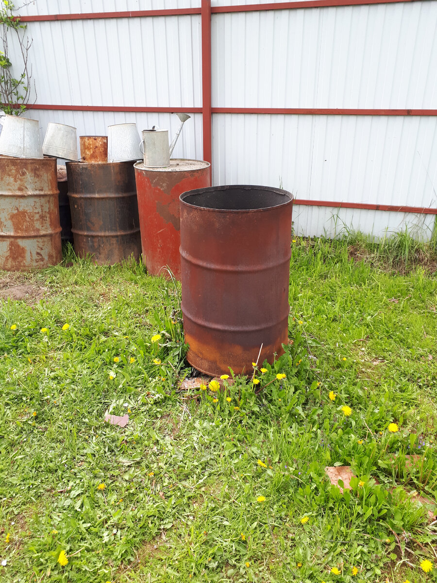 Железные 200 литровые бочки ( фотографии сделаны в прошлом году). Сейчас пока ещё не так зелено))))