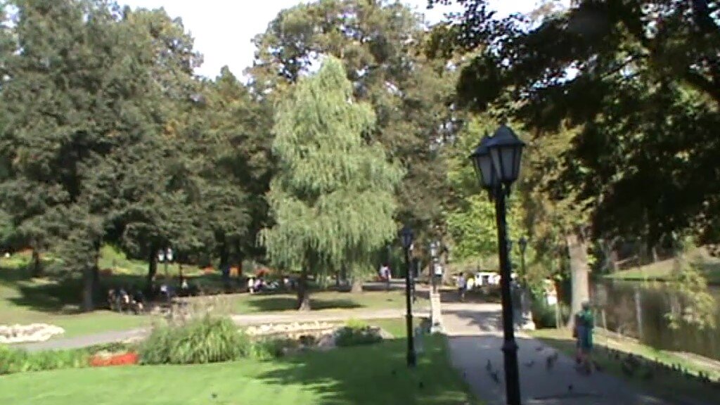 Жива наша ива! Личное фото. 2018 г.