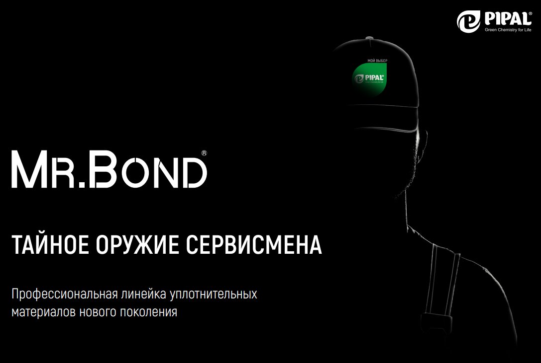 #мойвыборpipal 