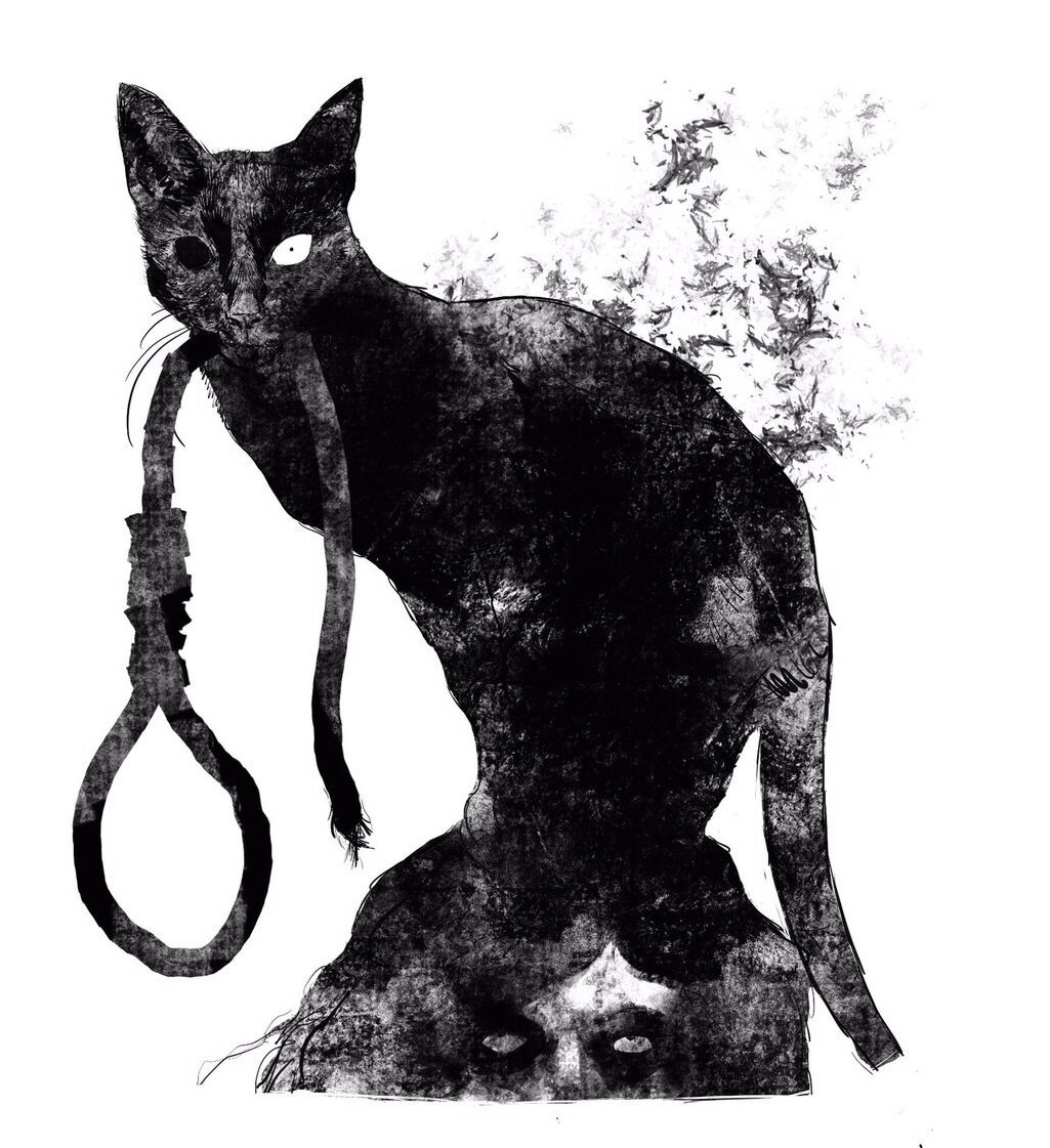 Картинка кот повесился