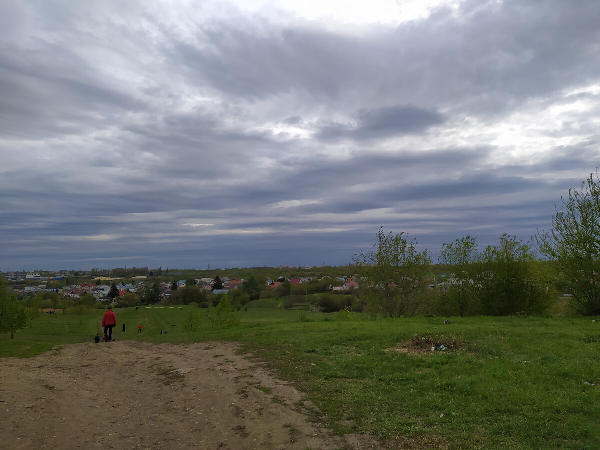 май 2021 года, склон оврага в сторону Ласков