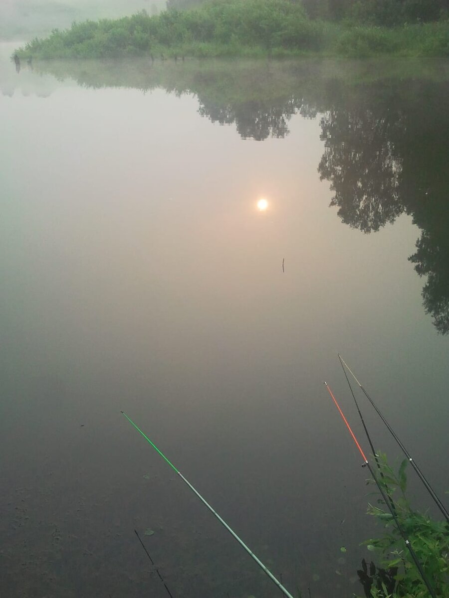 На рыбалке. Мое фото