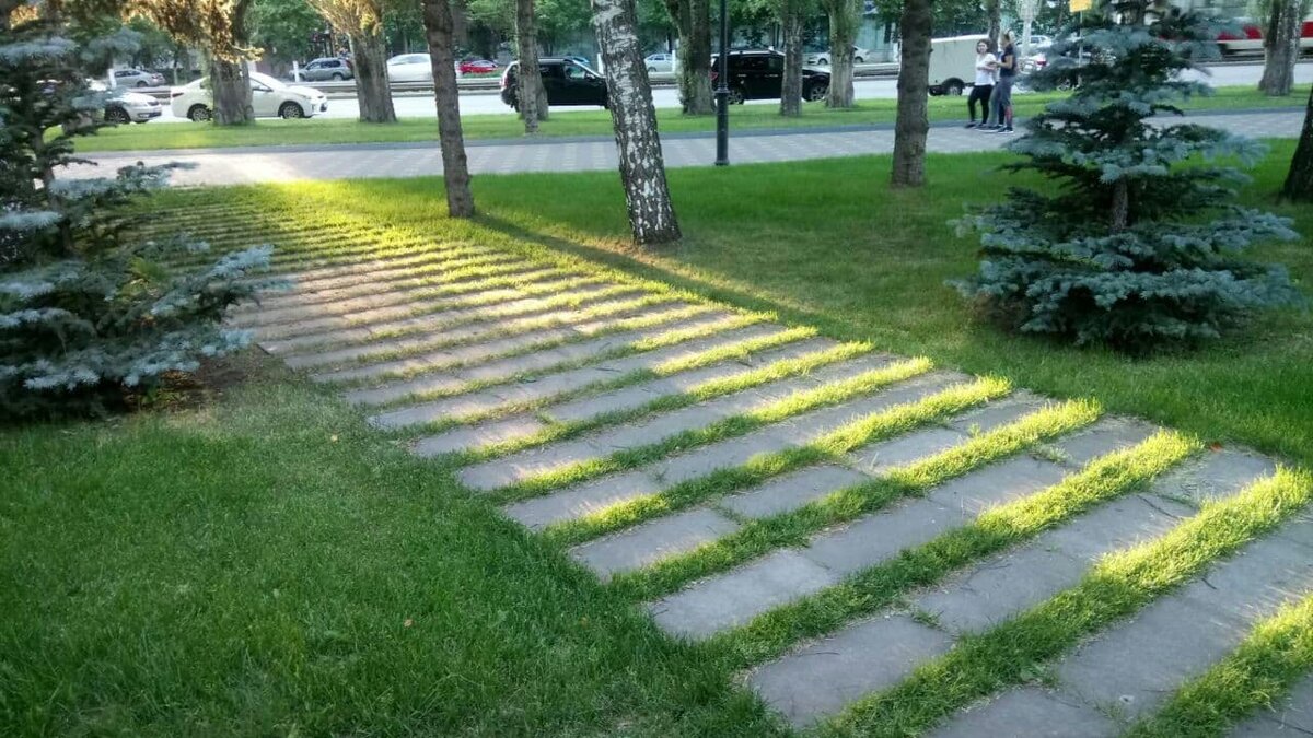 Фото автора.