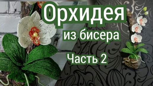 Порно копилка брат подглядывает за сестрой, смотреть порно видео онлайн