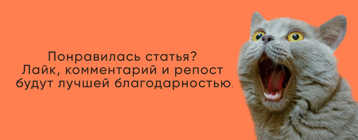  Да, это мерзкая, но очень важная для обсуждения тема. Давайте поговорим о тошноте у кошек и о том, когда вам следует волноваться. Кошки — это существа, которые то и дело вызывают рвоту.-2