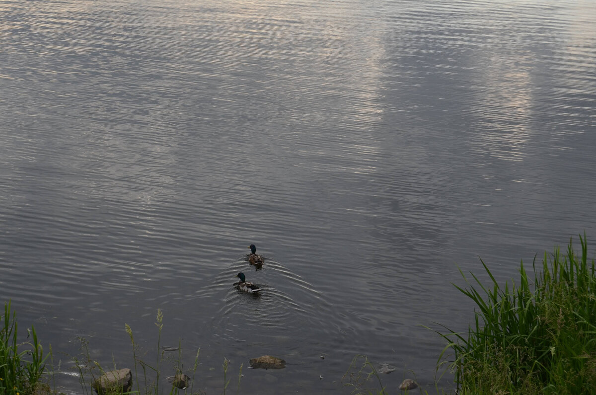 Любовь, вы всегда рядом