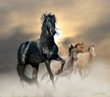 Лошади во сне появляются довольно часто. Их величие и красота заставляют нас восхищаться ими. Эти животные символизируют свободу, силу, красоту и дикую природу.-2