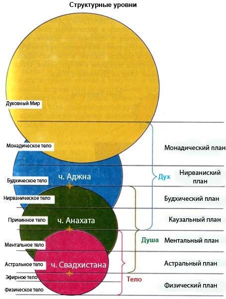 Каузальный план это