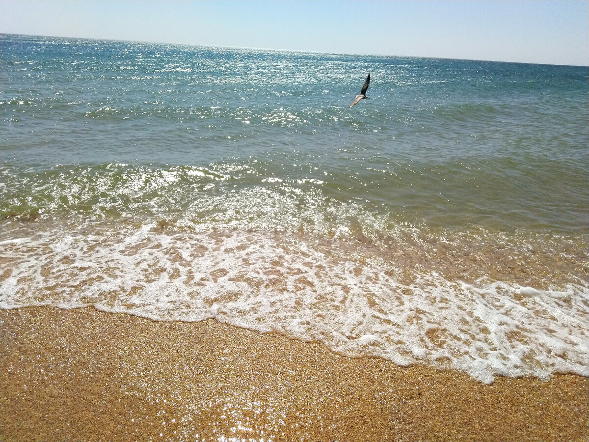 Чистейшая вода.