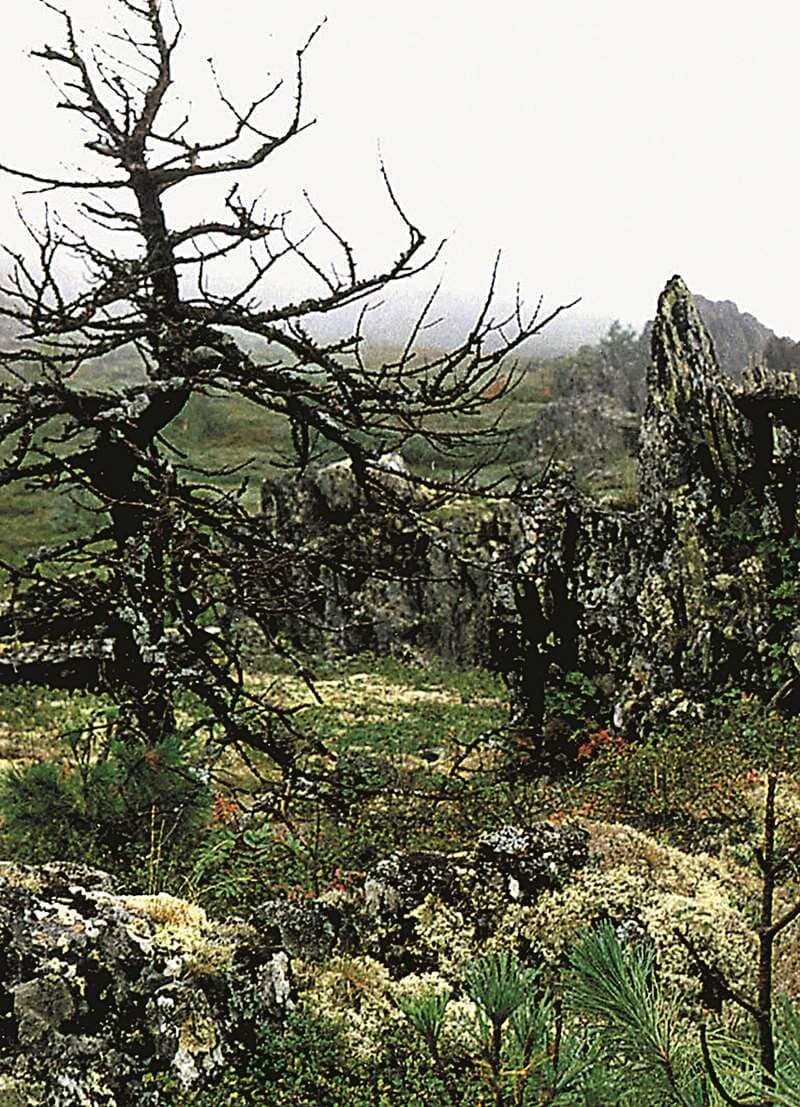 Скалы-останцы у подножия Тельпос-иза — чем не окаменевшие «нарушители спокойствия»?