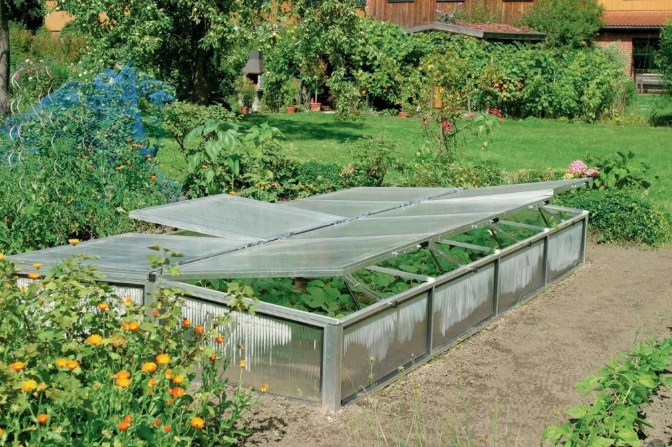 Фотография взята из источника erlin.ru