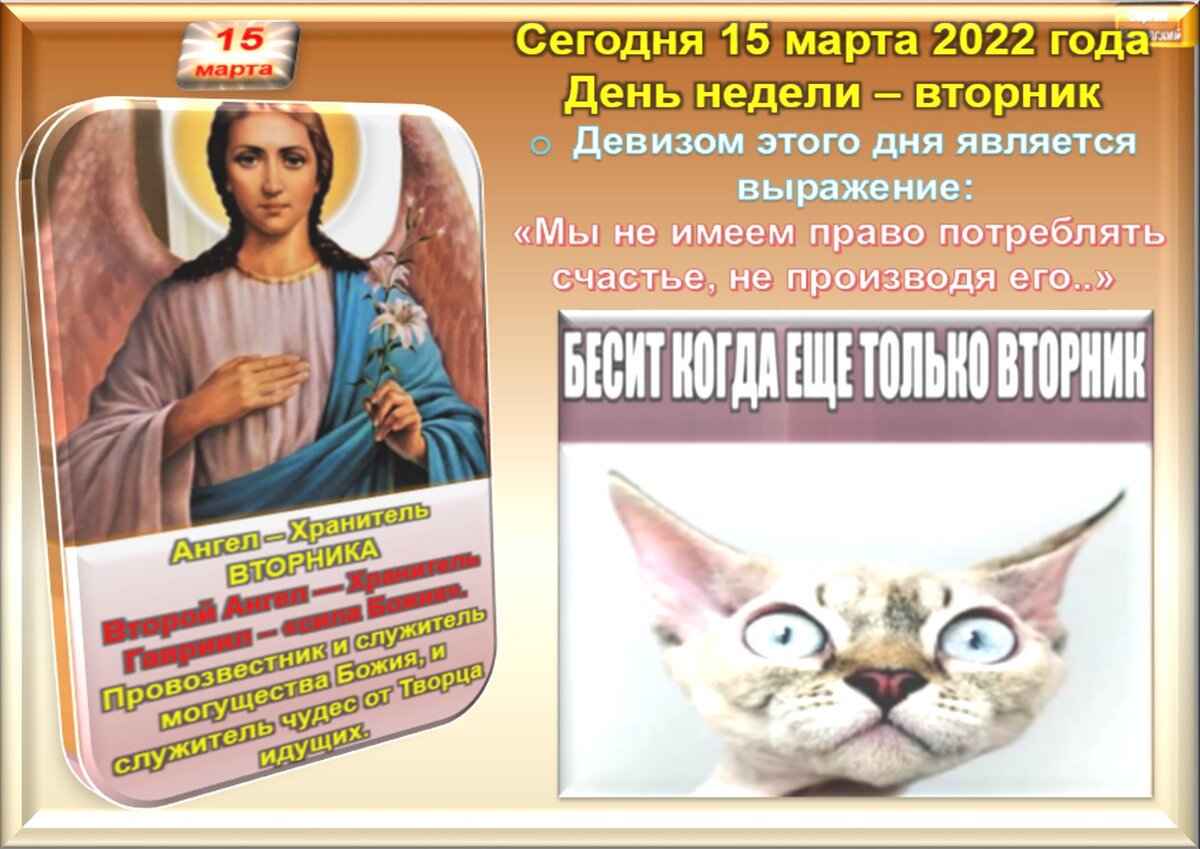Встречаем новый день