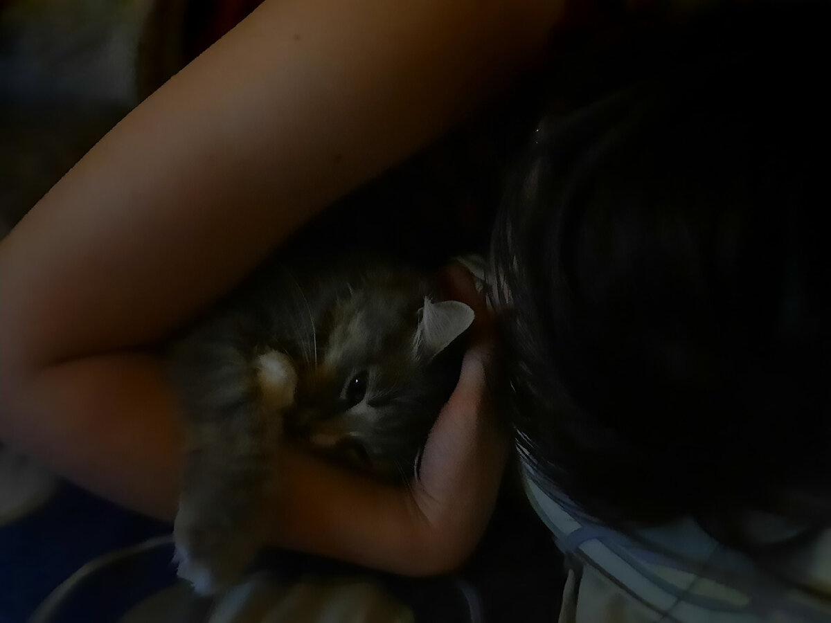 Не встала, а уже устала...