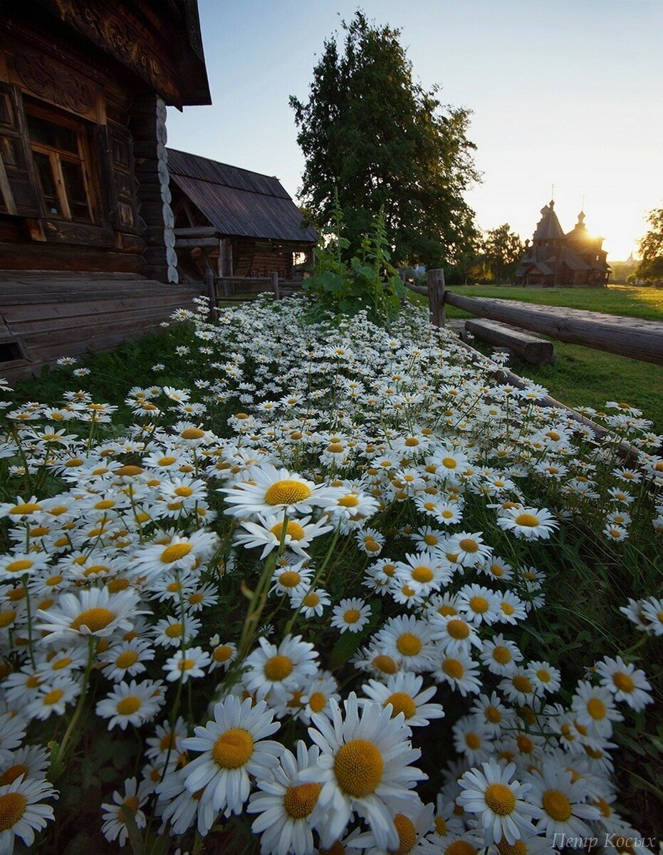 Фото из интернета