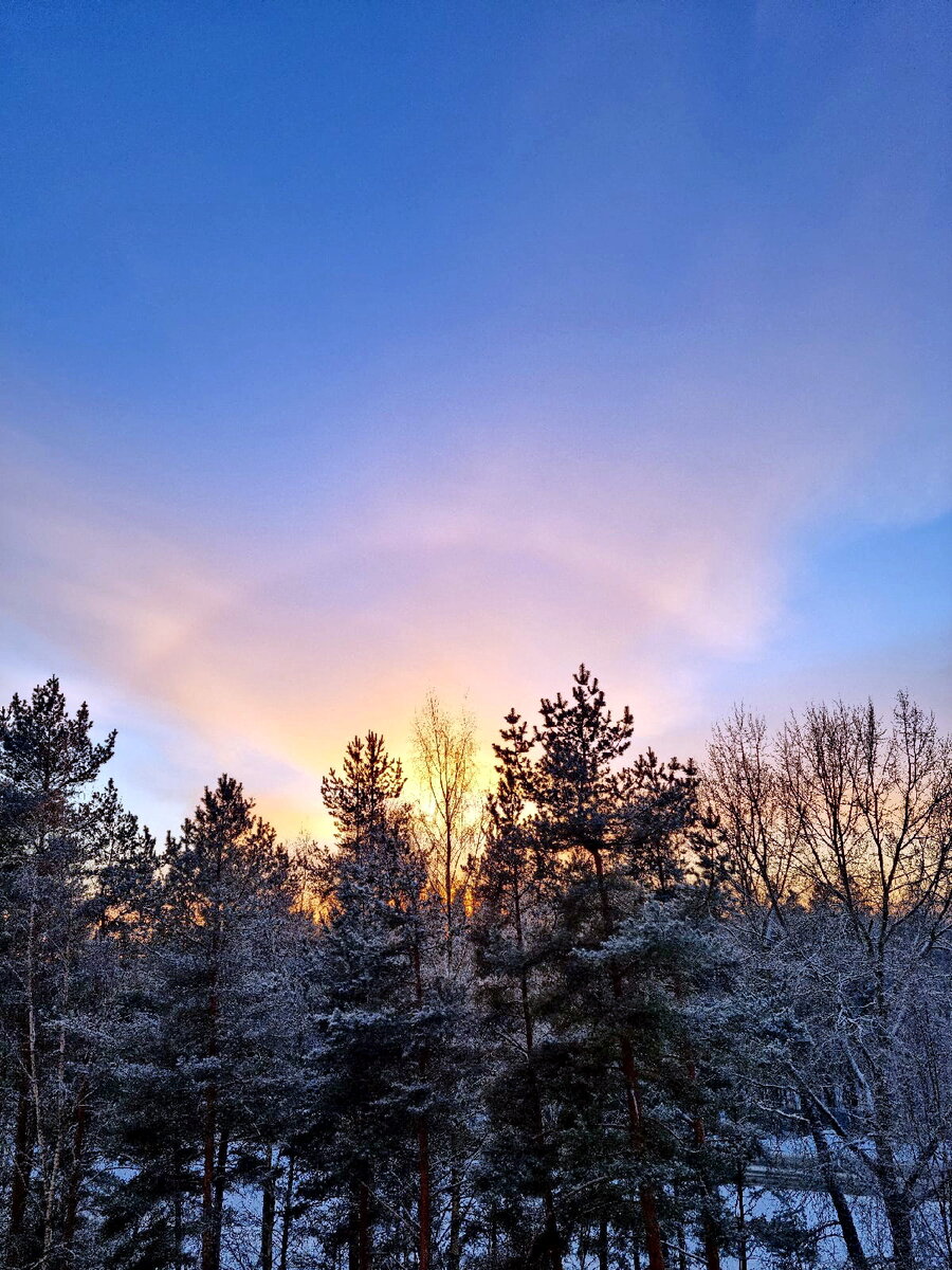 фото из личного архива, Гало, г .Кингисепп 21.12.2021.