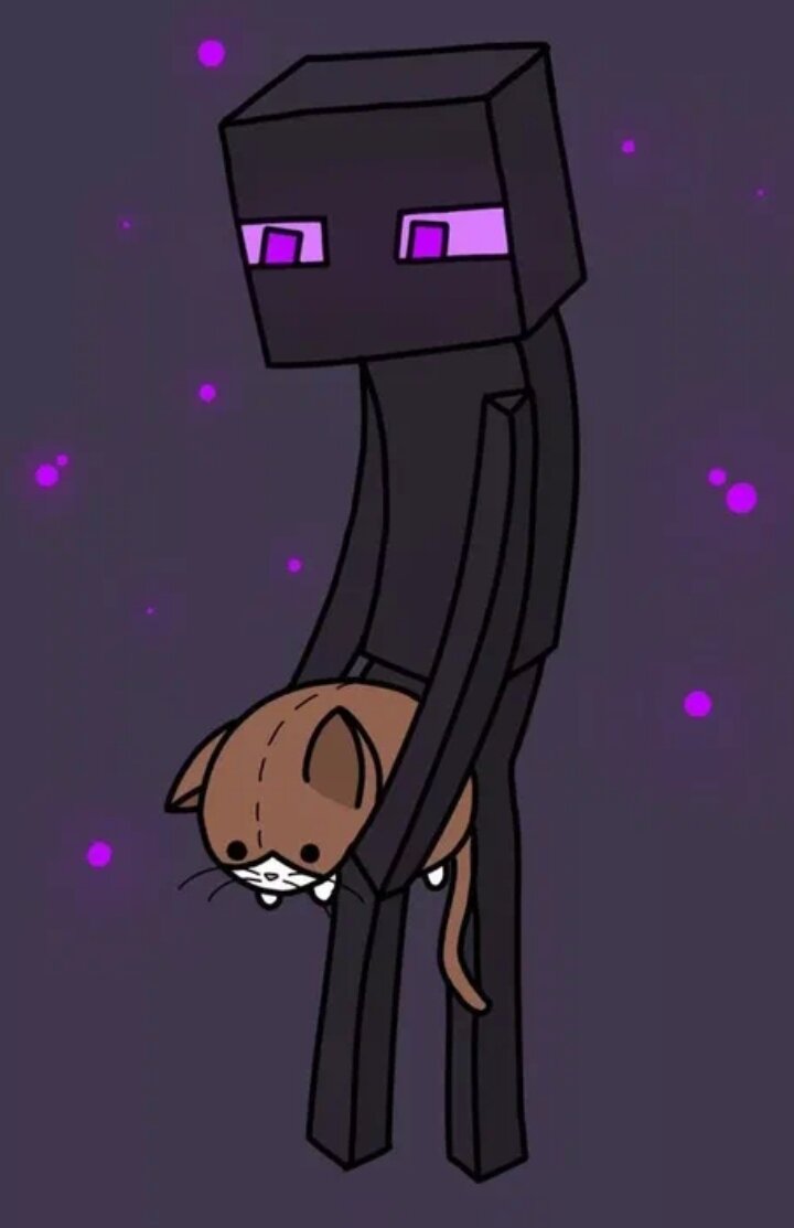 Изображение взято из интернета.