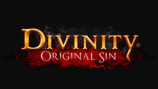 Divinity: Original Sin по жанровой принадлежности относится к РПГ и является продолжением классической серии Divinity, РПГ игр старой школы.