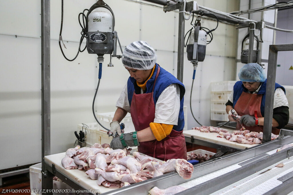 распиловщик мясосырья. где делают колбасу. краситель для колбасы. завод сосисок. как делают колбасу на самом деле.